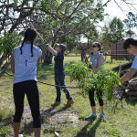 preservation and repair volunteers landscaping