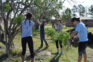 preservation and repair volunteers landscaping